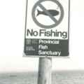 fishermenbeware.jpg